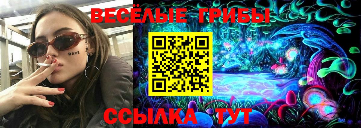 Черногорск  Галлюциногенные грибы GOLDEN TEACHER  Вход с VPN  Галлюциногенные грибы Magic Shrooms 