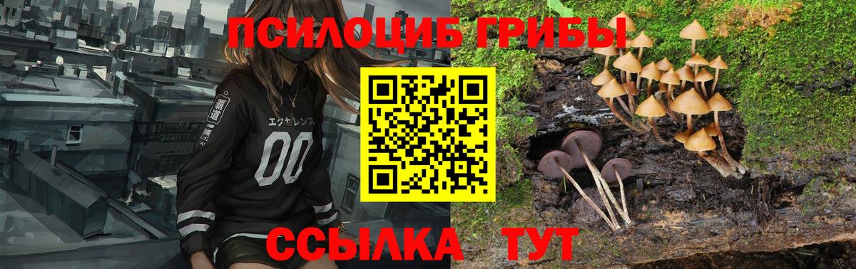Псилоцибиновые грибы мухоморы Черногорск